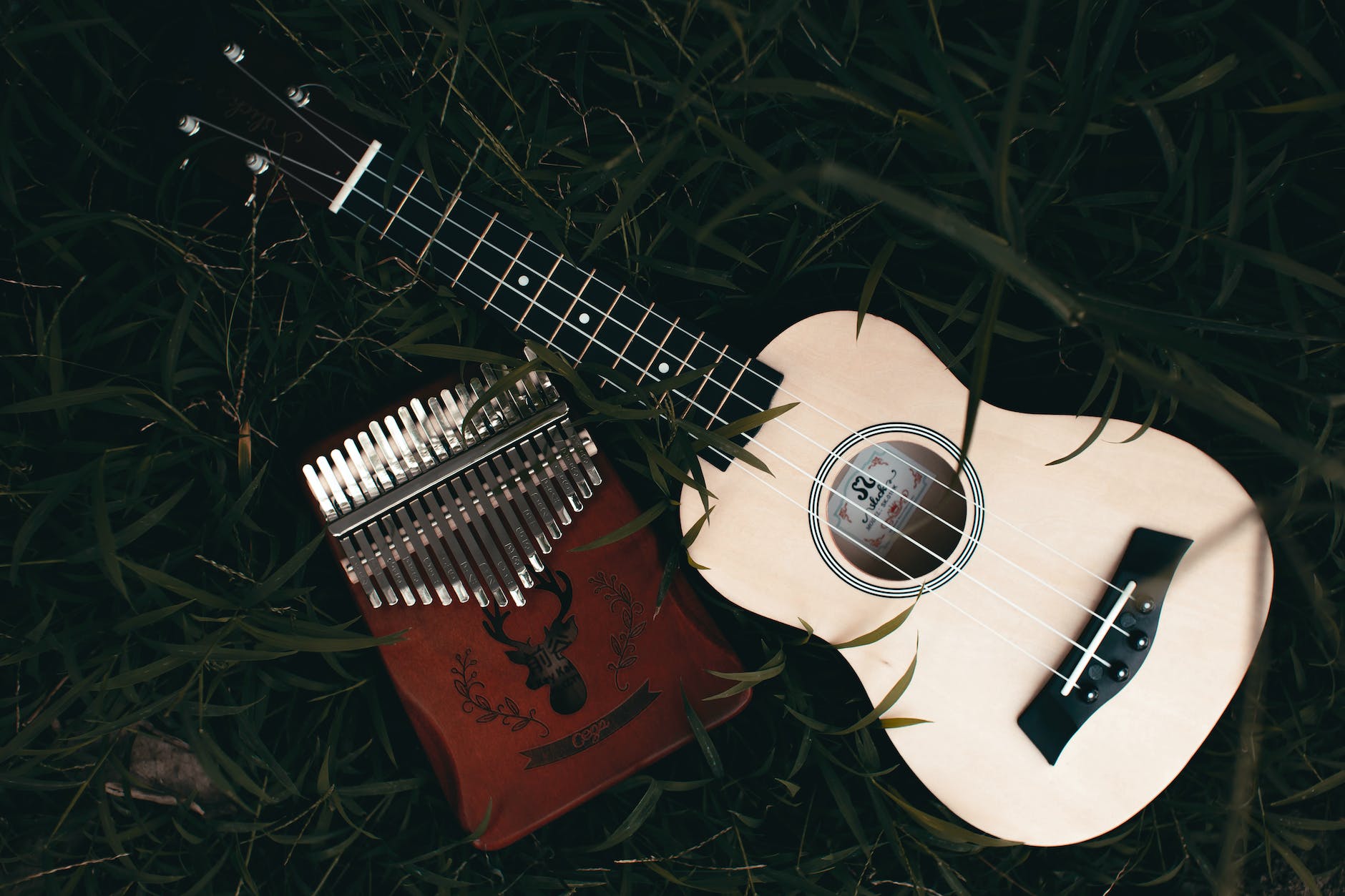 acoustic ukulele and kalimba on green grass