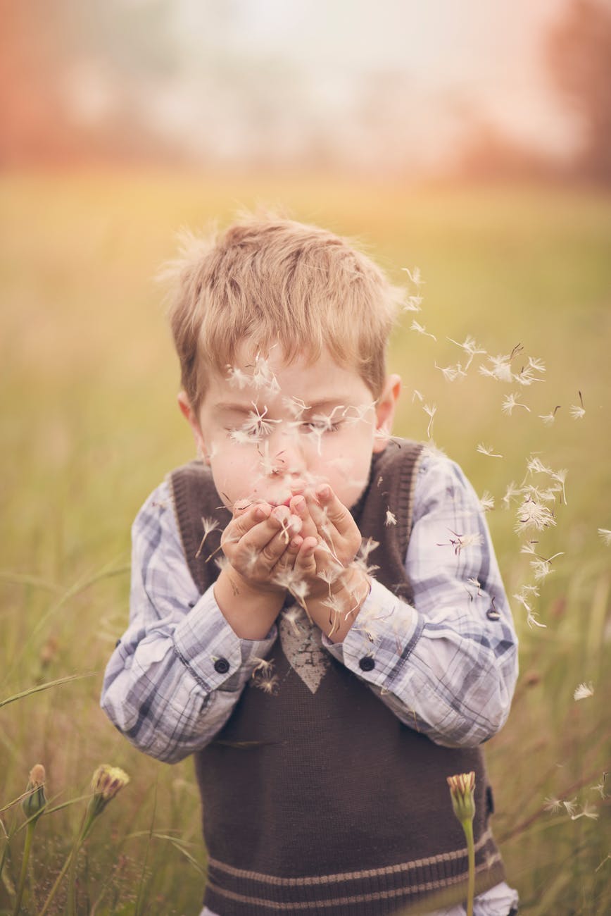 boy blowing hands filled with dandelion flowers