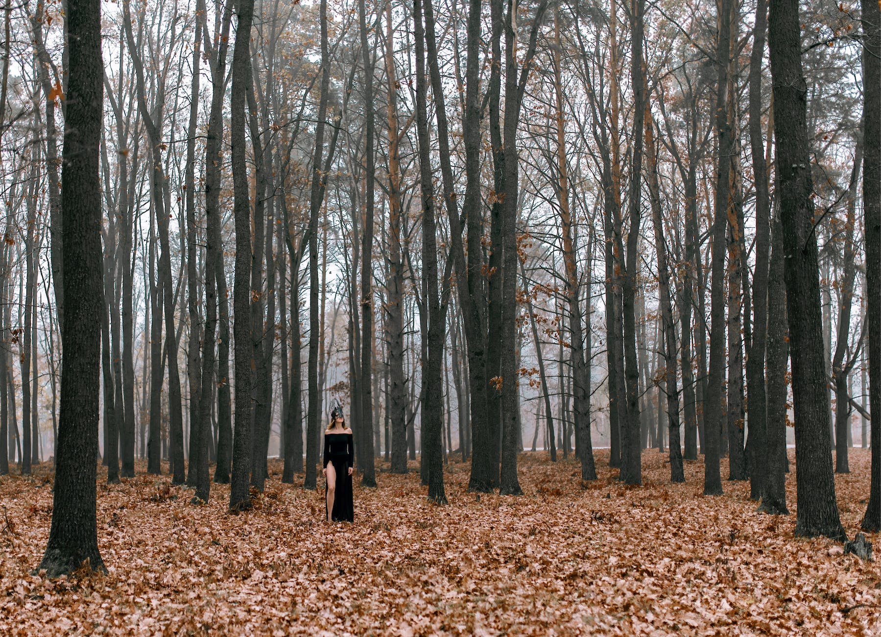 person in black dress walking on brown dried leaves on forest